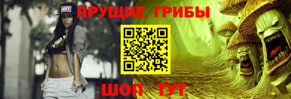 Галлюциногенные грибы GOLDEN TEACHER  Галлюциногенные грибы мицелий  Миллерово  Вход с VPN 